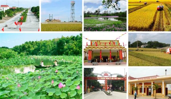 Tỉnh, thành phố trực thuộc trung ương hoàn thành nhiệm vụ xây dựng nông thôn mới giai đoạn 2021 - 2025 có ít nhất 20% số huyện trên địa bàn đạt chuẩn nông thôn mới nâng cao giai đoạn 2021 - 2025. Tỉnh, thành phố trực thuộc trung ương hoàn thành nhiệm vụ xây dựng nông thôn mới giai đoạn 2021 - 2025 có ít nhất 20% số huyện trên địa bàn đạt chuẩn nông thôn mới nâng cao giai đoạn 2021 - 2025.